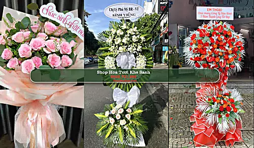 Shop Hoa Tươi Khe Sanh - Huyện Hướng Hóa (Cũ)