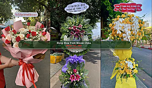 Shop Hoa Tươi Khoái Châu - Huyện Khoái Châu (Cũ)