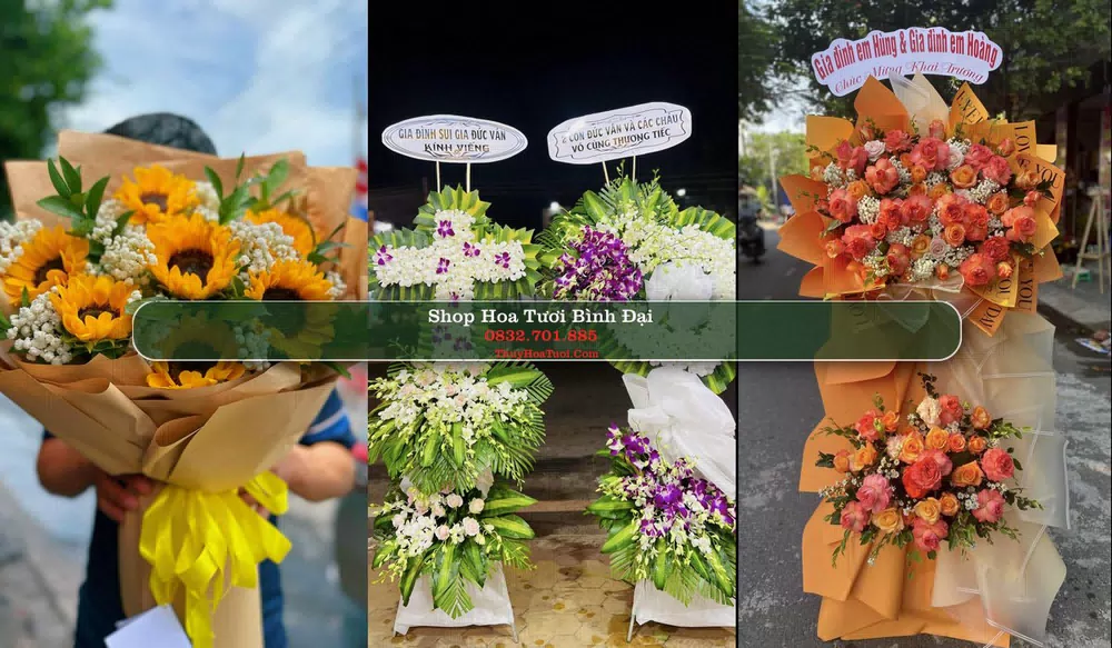 Shop Hoa Tươi Bình Đại - Huyện Bình Đại (Cũ)