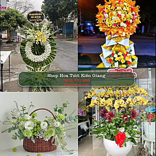Shop Hoa Tươi Kiên Giang - Hoa Đẹp Cho Mọi Dịp