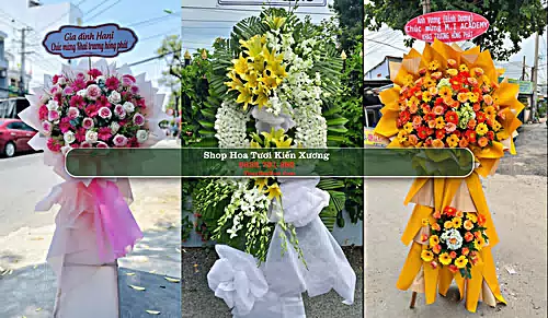 Shop Hoa Tươi Kiến Xương - Huyện Kiến Xương (Cũ)