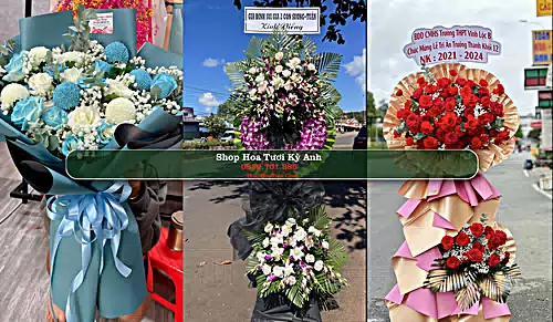 Shop Hoa Tươi Kỳ Anh - Hà Tĩnh (Cũ)