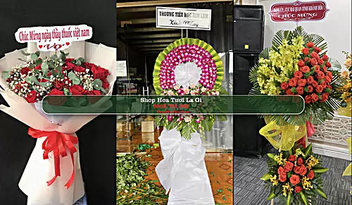 Shop Hoa Tươi La Gi - Bình Thuận (Cũ)