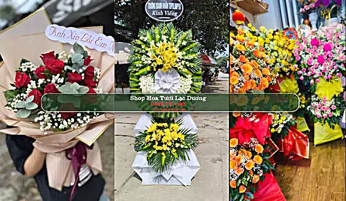 Shop Hoa Tươi Lạc Dương - Huyện Lạc Dương (Cũ)