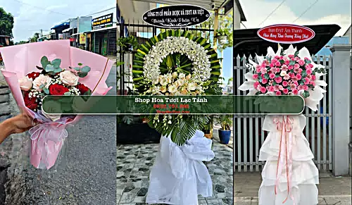Shop Hoa Tươi Lạc Tánh - Huyện Tánh Linh (Cũ)