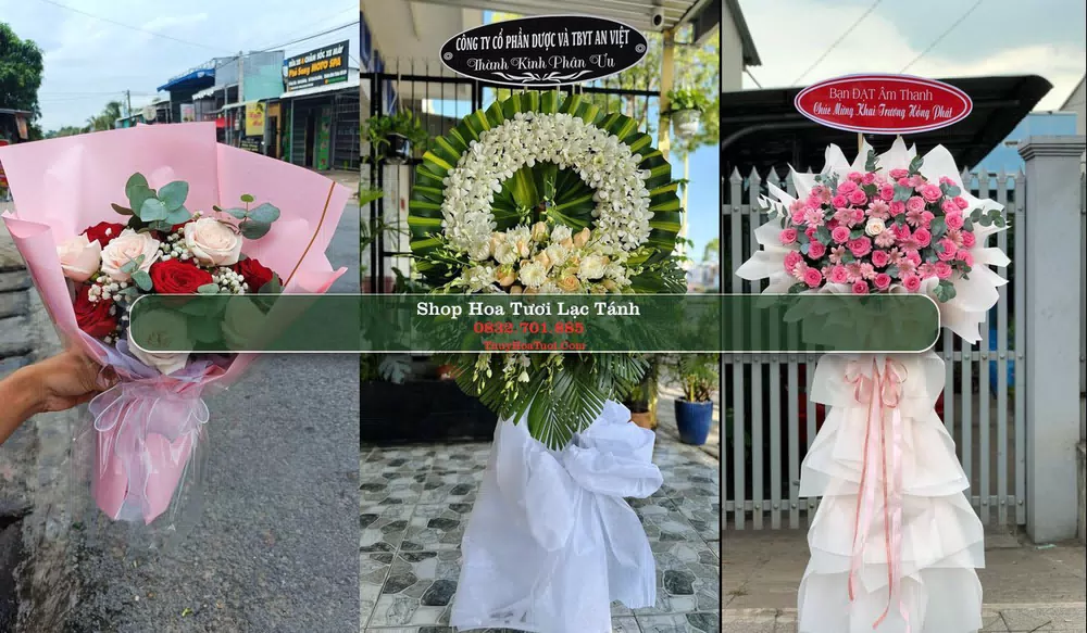 Shop Hoa Tươi Lạc Tánh - Huyện Tánh Linh (Cũ)