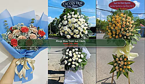 Shop Hoa Tươi Lai Cách - Huyện Cẩm Giàng (Cũ)