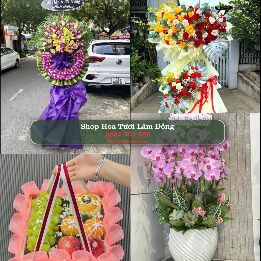 Đặt Hoa Tươi Lâm Đồng - Giao Nhanh Tận Nơi