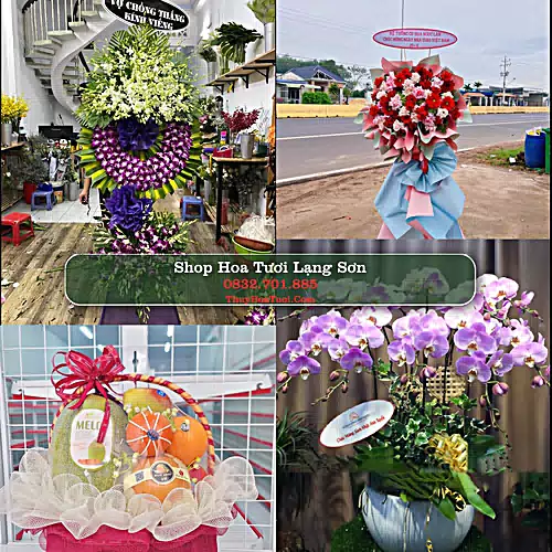 Shop Hoa Tươi Lạng Sơn - Điện Hoa Giao Tận Nơi