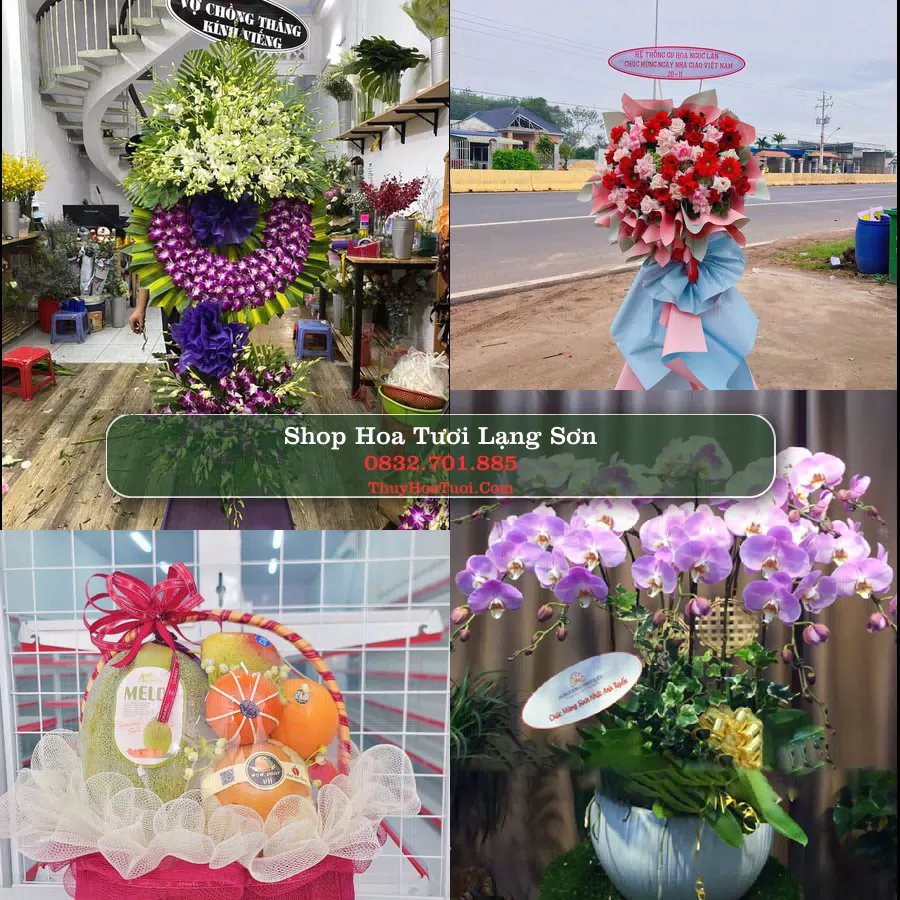 Shop Hoa Tươi Lạng Sơn - Điện Hoa Giao Tận Nơi