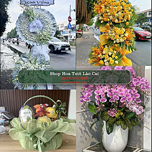 Shop Hoa Tươi Lào Cai