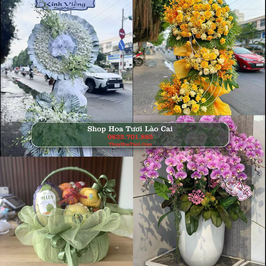 Shop Hoa Tươi Lào Cai