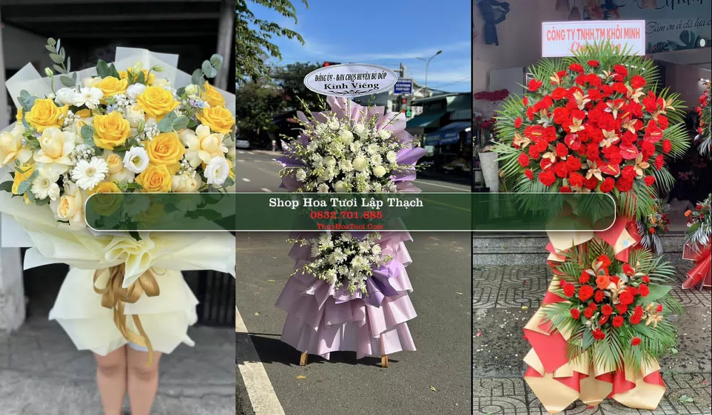 Shop Hoa Tươi Lập Thạch - Huyện Lập Thạch (Cũ)