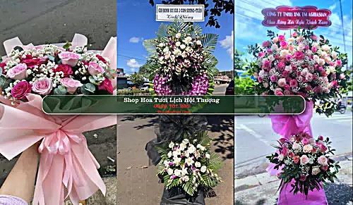 Shop Hoa Tươi Lịch Hội Thượng - Huyện Trần Đề (Cũ)