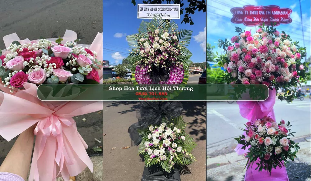 Shop Hoa Tươi Lịch Hội Thượng - Huyện Trần Đề (Cũ)