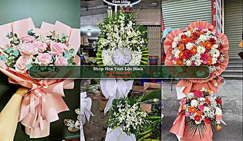 Shop Hoa Tươi Lộc Ninh - Huyện Lộc Ninh (Cũ)