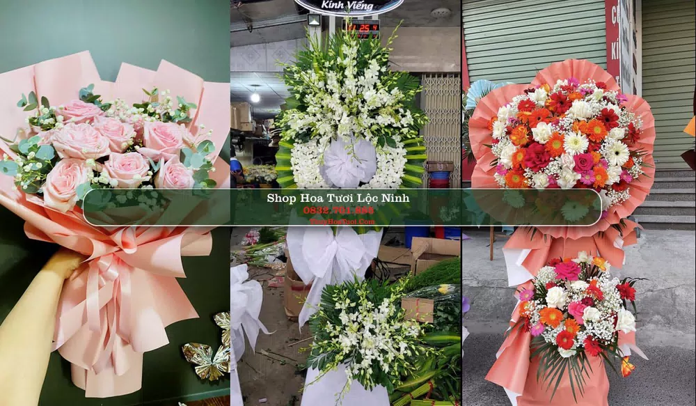 Shop Hoa Tươi Lộc Ninh - Huyện Lộc Ninh (Cũ)