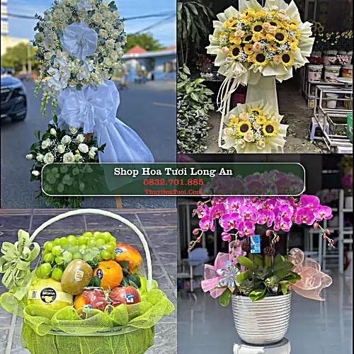 Điện Hoa Long An - Shop Hoa Tươi Uy Tín