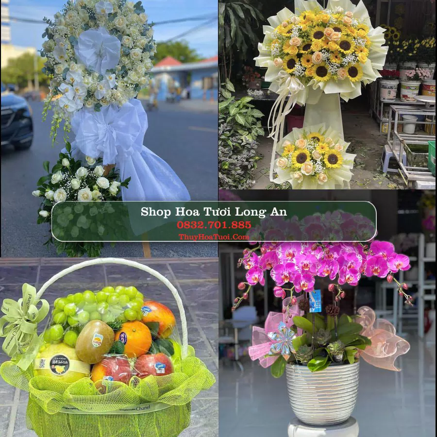 Điện Hoa Long An - Shop Hoa Tươi Uy Tín