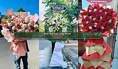 Shop Hoa Tươi Long Thành - Huyện Long Thành (Cũ)