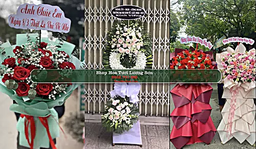 Shop Hoa Tươi Lương Sơn - Huyện Bắc Bình (Cũ)