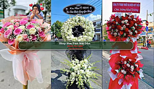 Shop Hoa Tươi Mái Dầm - Huyện Châu Thành (Cũ)