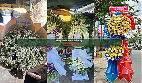 Shop Hoa Tươi Mỏ Cày - Huyện Mỏ Cày Nam (Cũ)