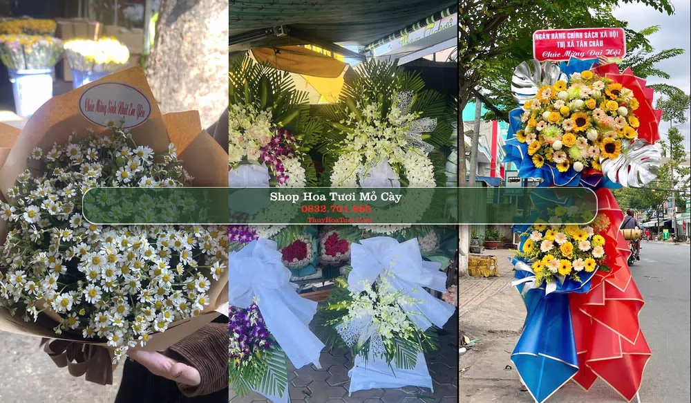 Shop Hoa Tươi Mỏ Cày - Huyện Mỏ Cày Nam (Cũ)