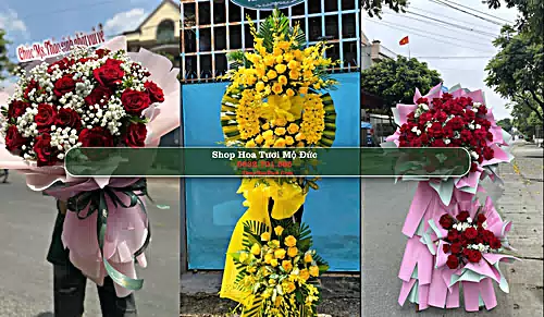 Shop Hoa Tươi Mộ Đức - Huyện Mộ Đức (Cũ)