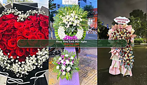 Shop Hoa Tươi Một Ngàn - Huyện Châu Thành A (Cũ)