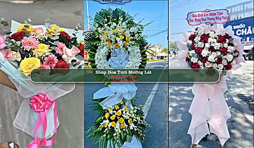 Shop Hoa Tươi Mường Lát - Huyện Mường Lát (Cũ)