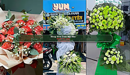 Shop Hoa Tươi Mỹ Hào - Hưng Yên (Cũ)