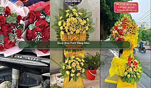 Shop Hoa Tươi Nàng Mau - Huyện Vị Thuỷ (Cũ)