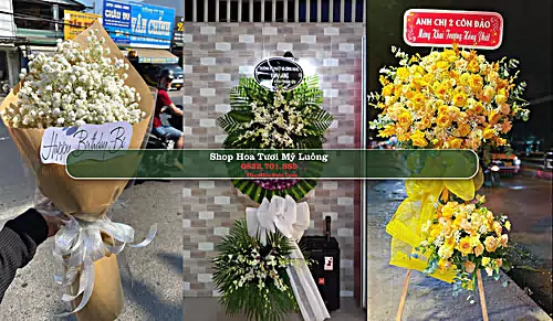 Shop Hoa Tươi Mỹ Luông - Huyện Chợ Mới (Cũ)