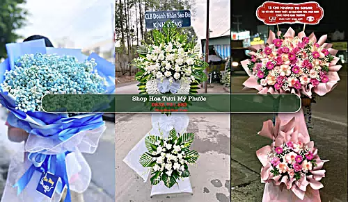 Shop Hoa Tươi Mỹ Phước - Huyện Tân Phước (Cũ)