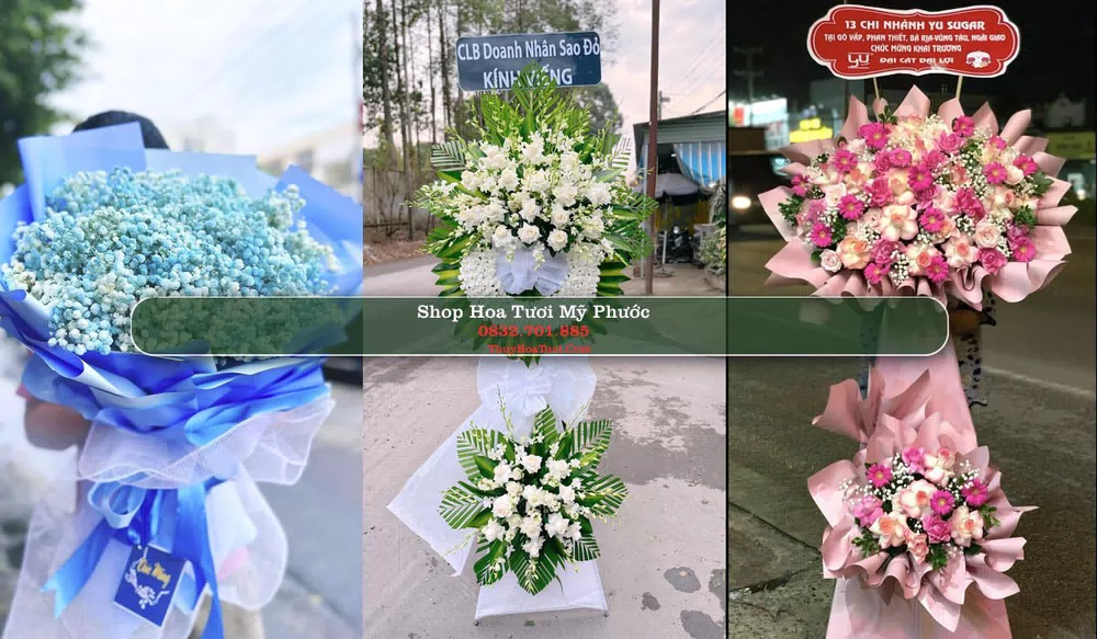 Shop Hoa Tươi Mỹ Phước - Huyện Tân Phước (Cũ)