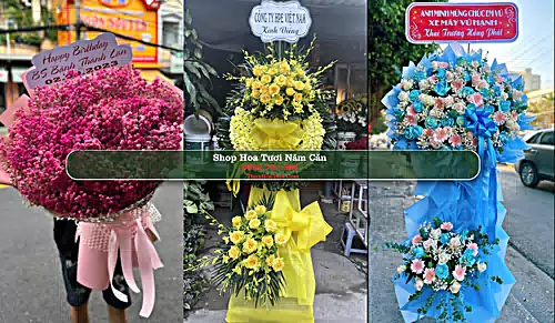 Shop Hoa Tươi Năm Căn - Huyện Năm Căn (Cũ)