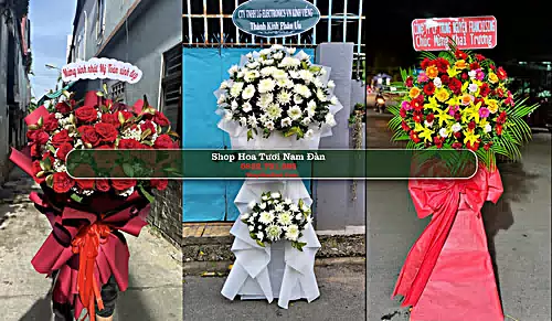 Shop Hoa Tươi Nam Đàn - Huyện Nam Đàn (Cũ)