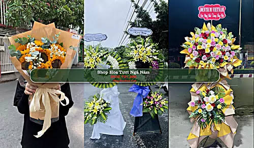 Shop Hoa Tươi Ngã Năm - Sóc Trăng (Cũ)
