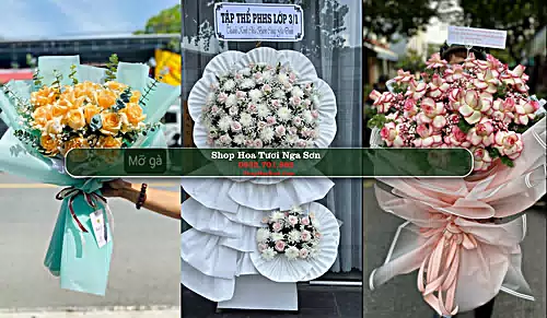 Shop Hoa Tươi Nga Sơn - Huyện Nga Sơn (Cũ)