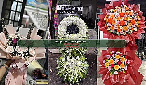 Shop Hoa Tươi Ngan Dừa - Huyện Hồng Dân (Cũ)