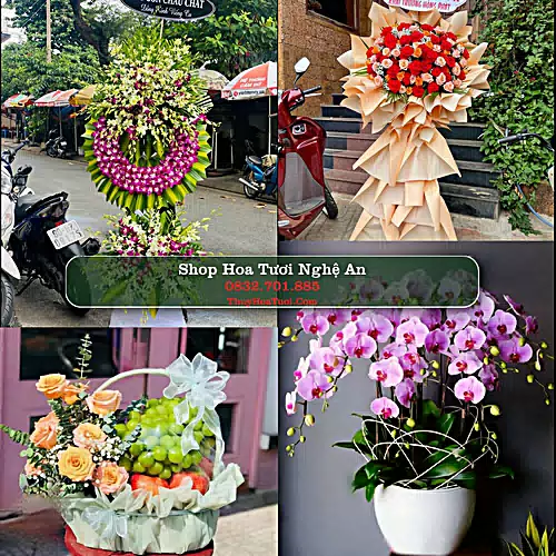 Điện Hoa Nghệ An - Shop Hoa Tươi Uy Tín