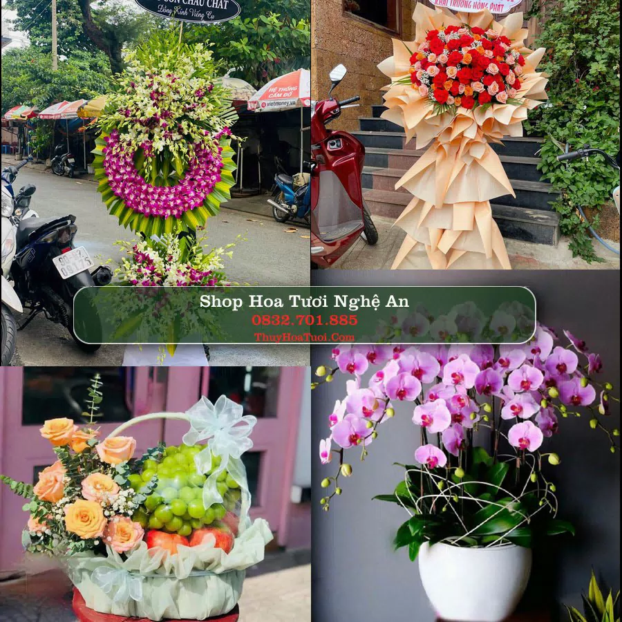 Điện Hoa Nghệ An - Shop Hoa Tươi Uy Tín