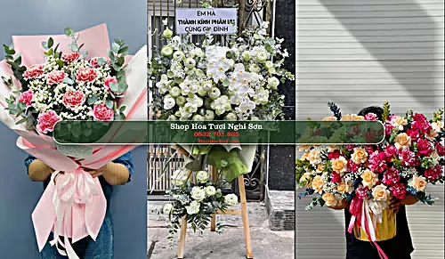 Shop Hoa Tươi Nghi Sơn - Thanh Hóa (Cũ)