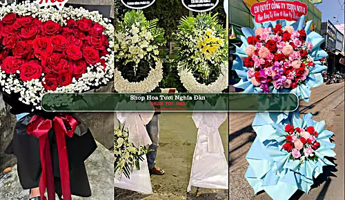 Shop Hoa Tươi Nghĩa Đàn - Huyện Nghĩa Đàn (Cũ)