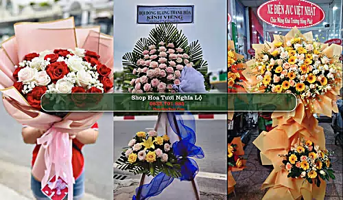Shop Hoa Tươi Nghĩa Lộ - Yên Bái (Cũ)