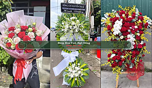 Shop Hoa Tươi Ngô Đồng - Huyện Giao Thủy (Cũ)