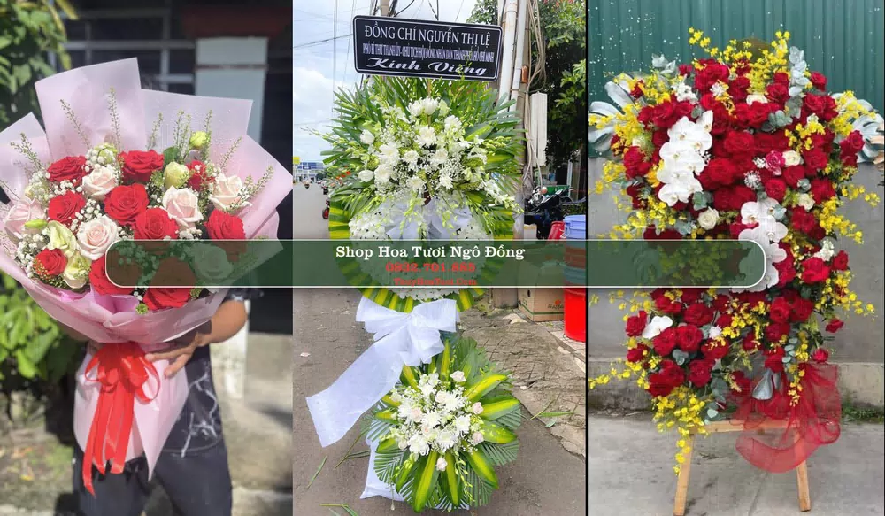 Shop Hoa Tươi Ngô Đồng - Huyện Giao Thủy (Cũ)