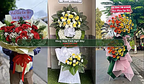 Shop Hoa Tươi Ngô Mây - Huyện Phù Cát (Cũ)