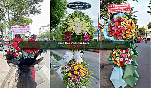Shop Hoa Tươi Nhã Nam - Huyện Tân Yên (Cũ)